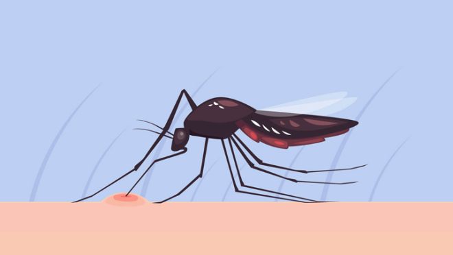 Dengue