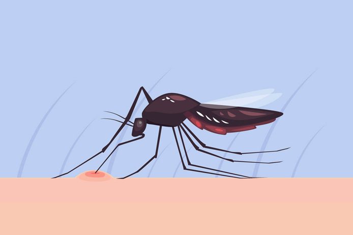 Dengue