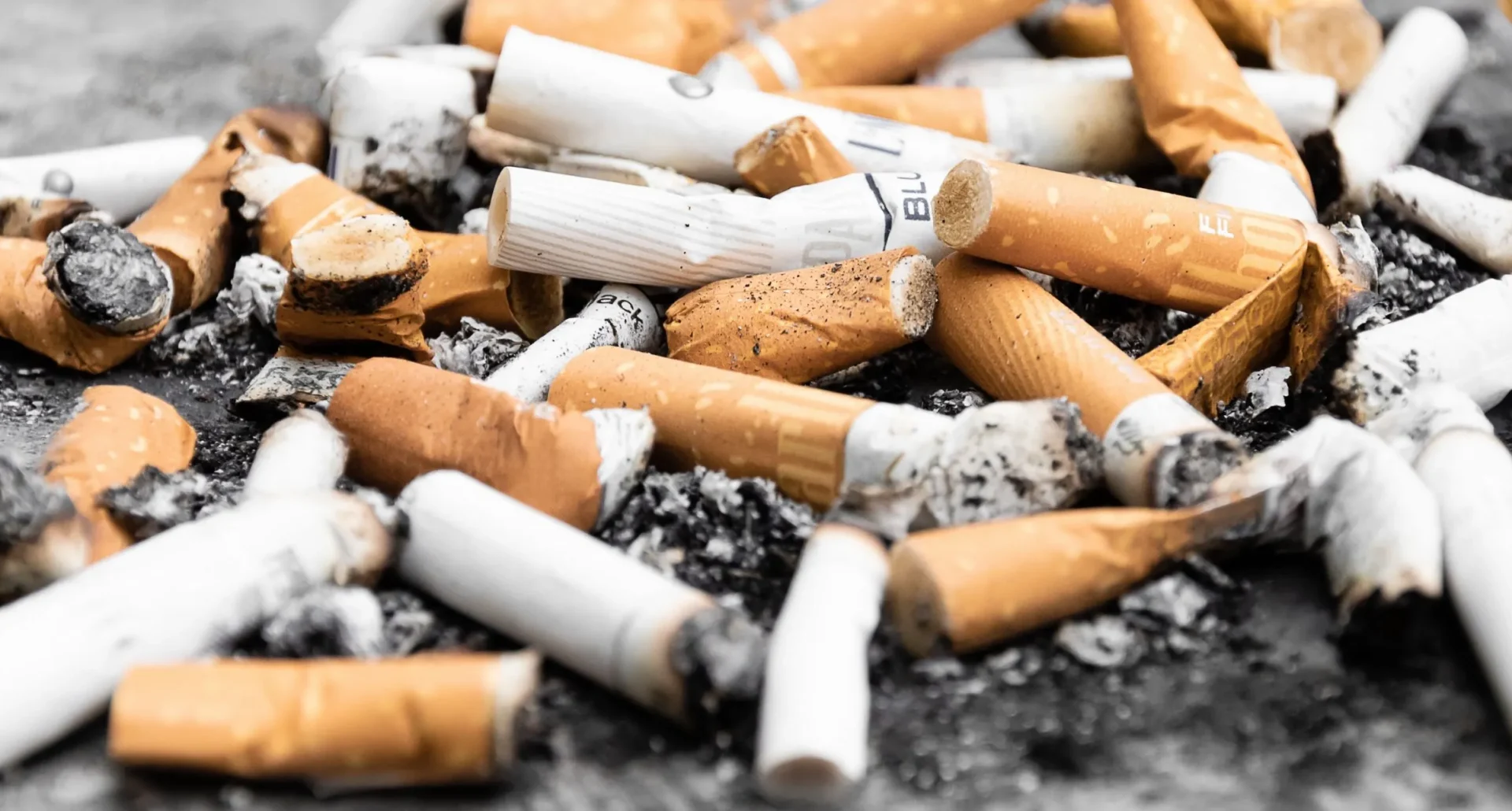 Transforming Cigarette Butts (CBs) Into Cotton Can Spark a Sustainable Business Revolution in Bangladesh