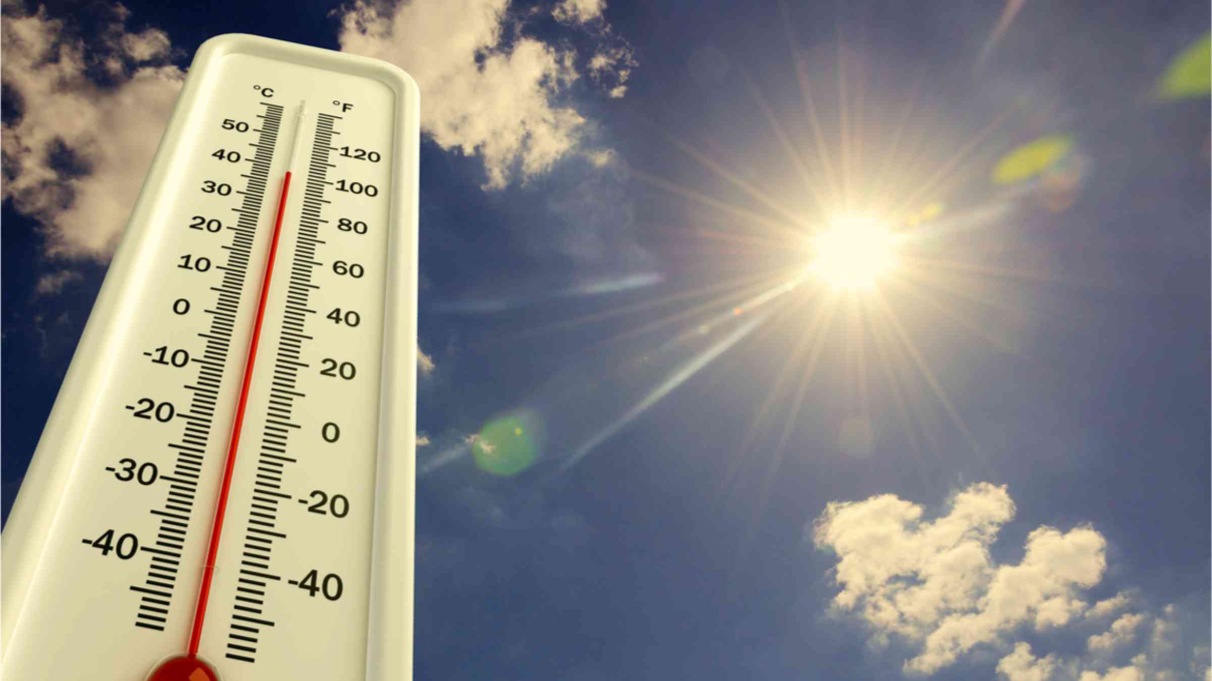 Essential tips to beat the brutal heatwaves this summer - Graduates