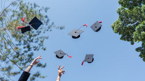 world_university_rankings_2024