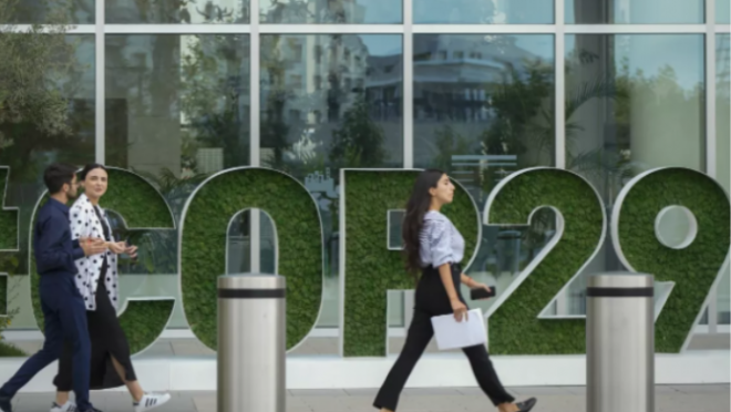 COP 29
