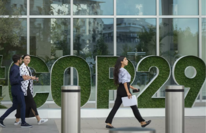 COP 29