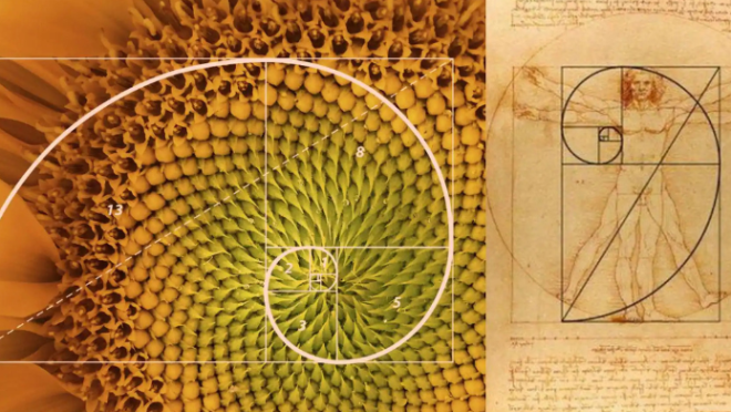 Fibonacci day