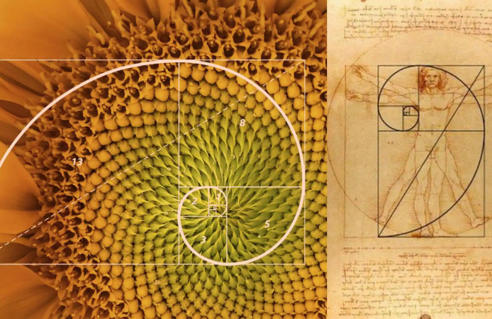 Fibonacci day