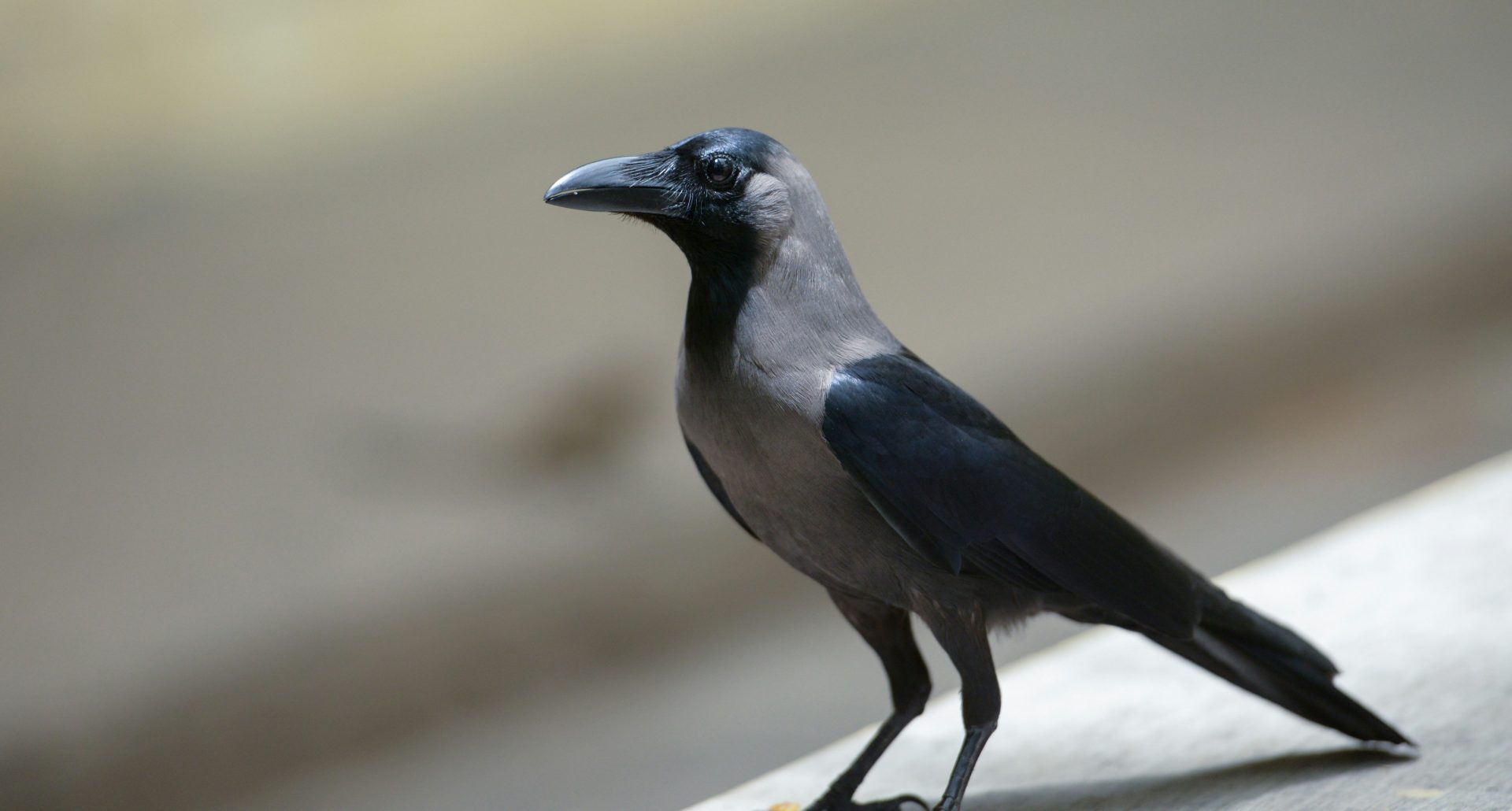 doorkeepers-iE6lQhAFJ10-unsplash