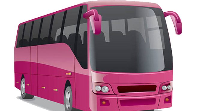 6th-FEB-pink busweb