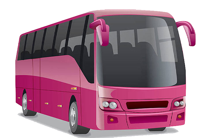6th-FEB-pink busweb