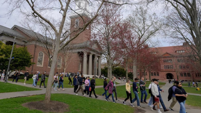23th May Harvard web