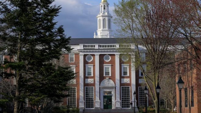 24th Harvard web