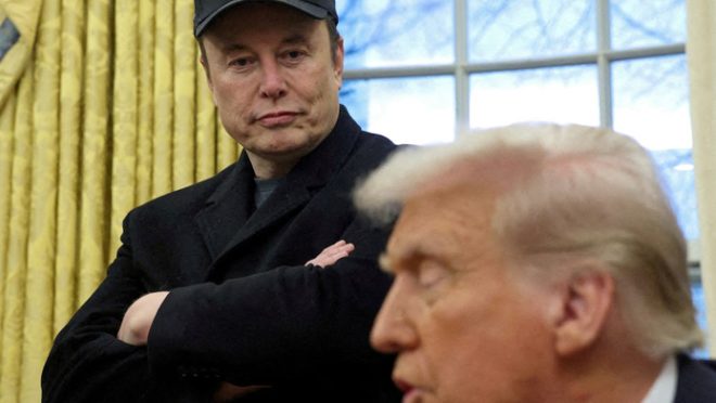 29th May elon musk web