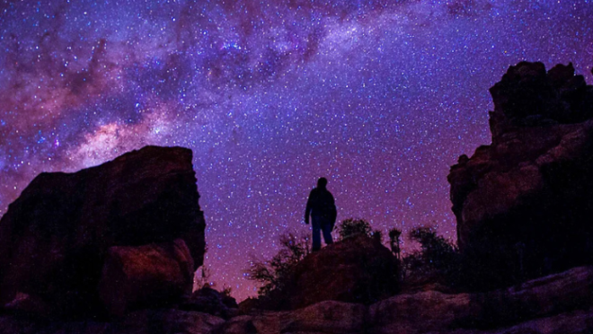 starry night