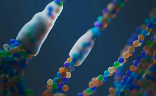 dna (1)