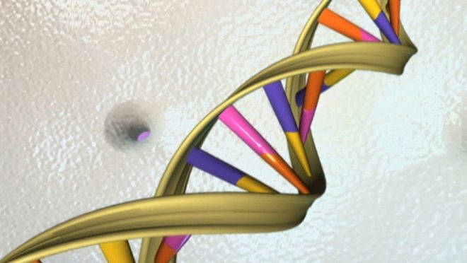 dna