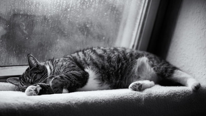 rain
