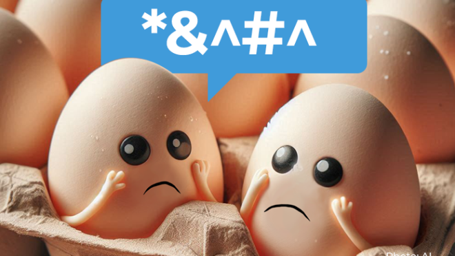 egg