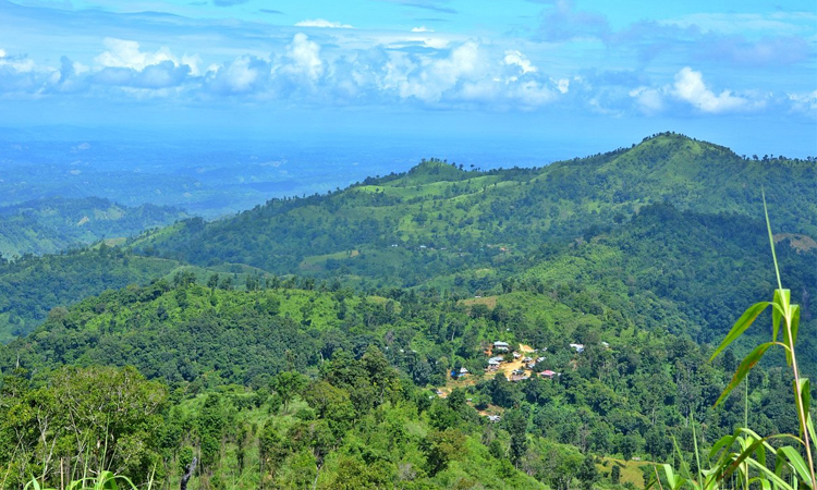 image-316876-1759221455