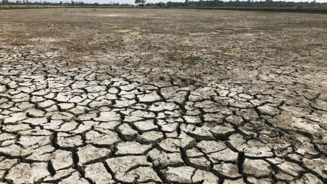 salinity