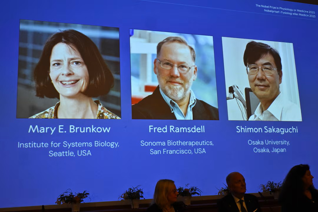 HV4EGHQUFJLF3BNYVIVX3WPEWQ