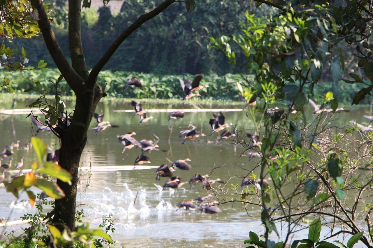 WhatsApp Image 2025-10-07 at 16.37.31 (1)