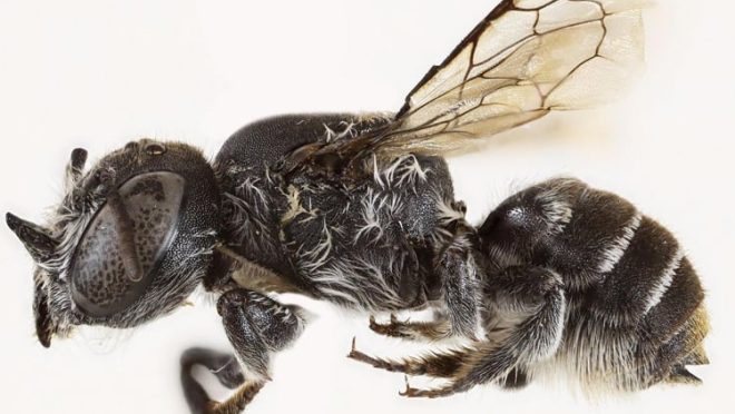 image-330641-1762838109