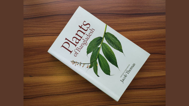 img_20251101_154220045_hdr_0_16x9