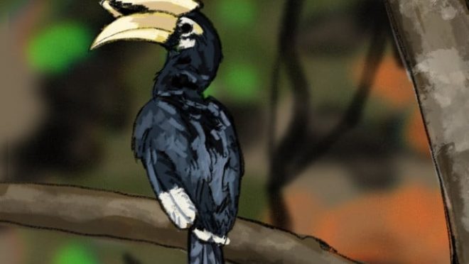 whatsapp_image_2025-11-08_at_1.15.04_pm