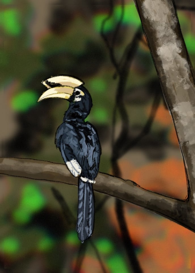 whatsapp_image_2025-11-08_at_1.15.04_pm