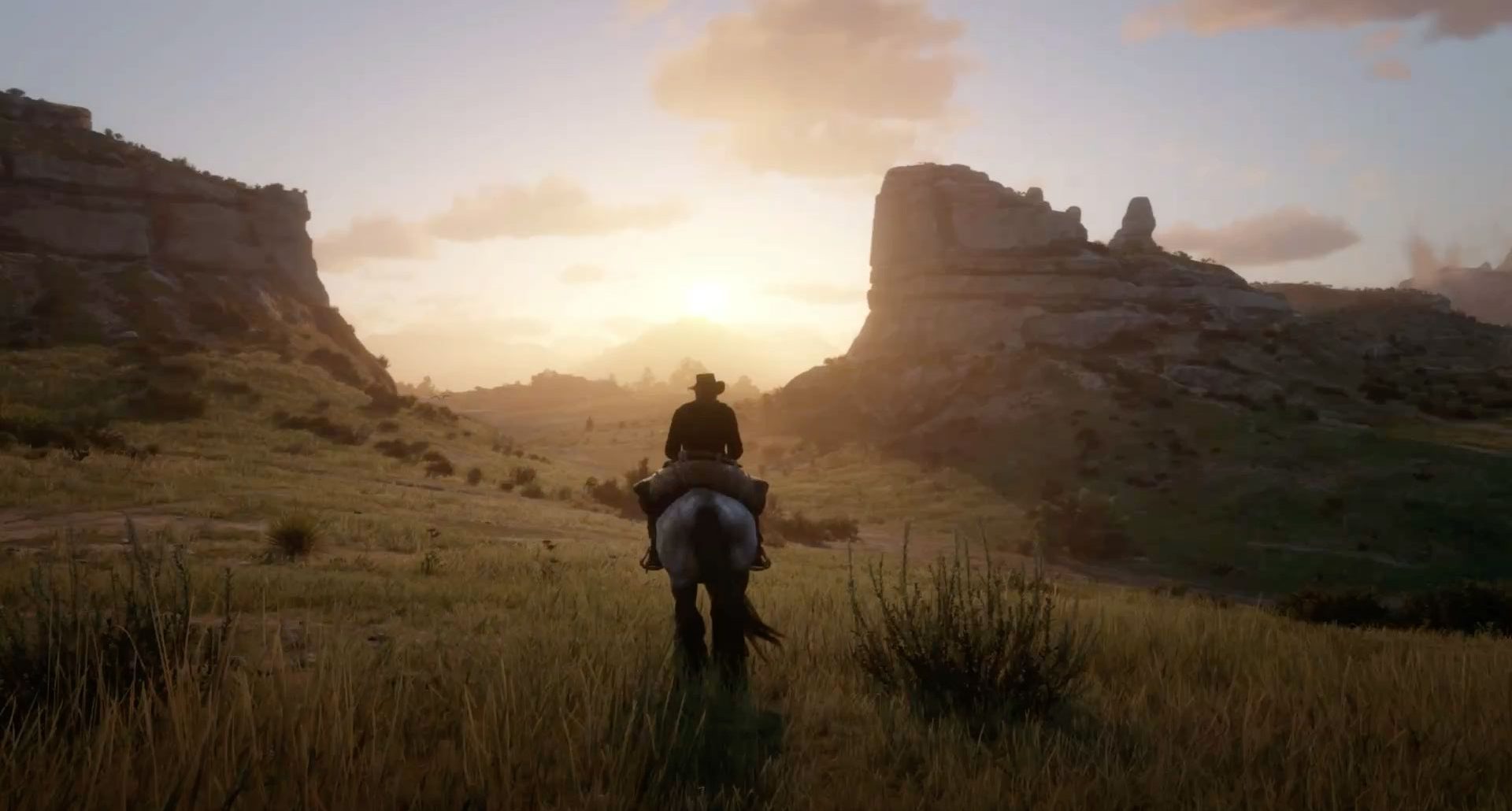 RDR2 (2).jpg