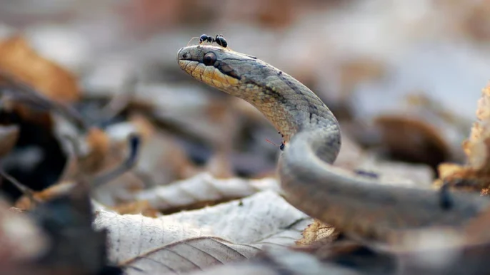 9442abdea24fe84f4c436d831f22fca8939b9ea0