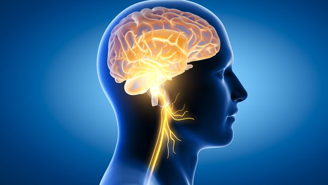 Is-it-possible-to-boost-brain-health