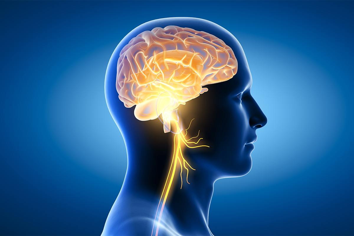 Is-it-possible-to-boost-brain-health