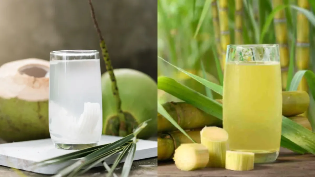 coconut-water-vs-sugarcane-1746104447