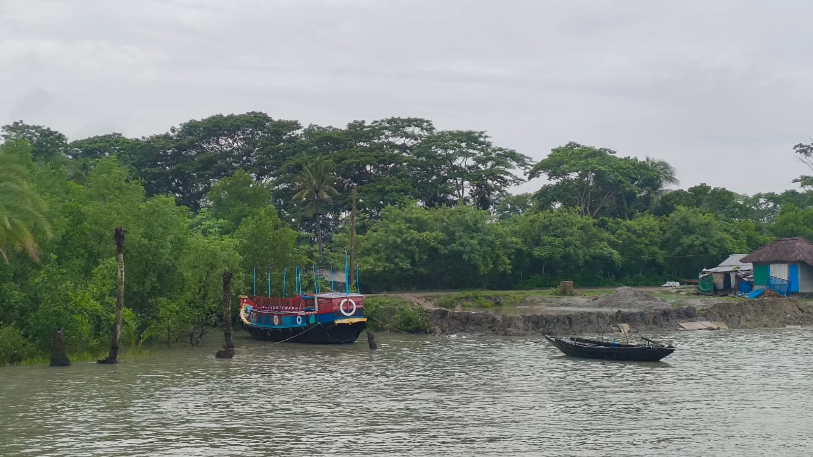 sunderban