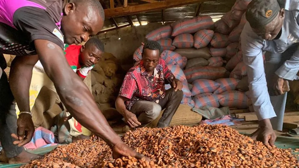 30435a40-1422-11f1-801d-ed3cff6b