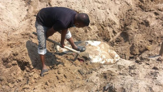 whatsapp_image_2026-03-28_at_11.52.01_am_