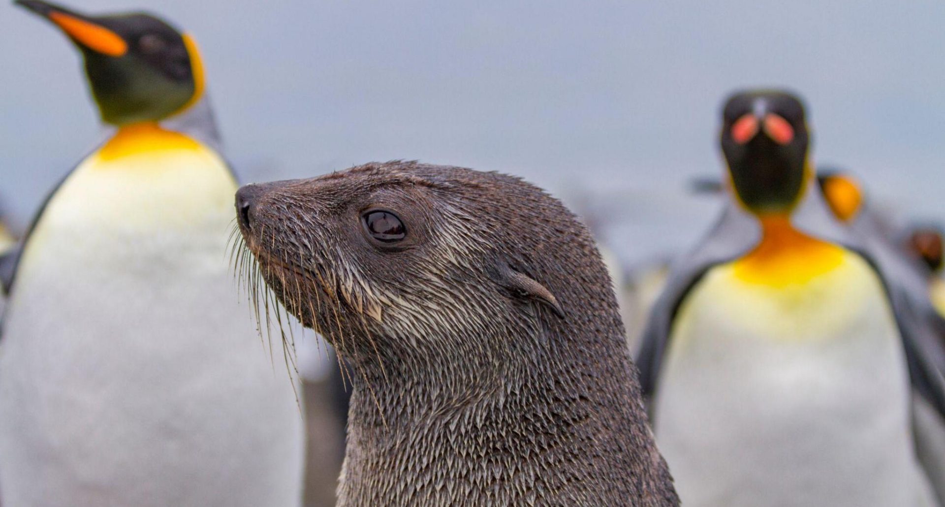 9f2081f0-34ec-11f1-bce2-613d63bea84f