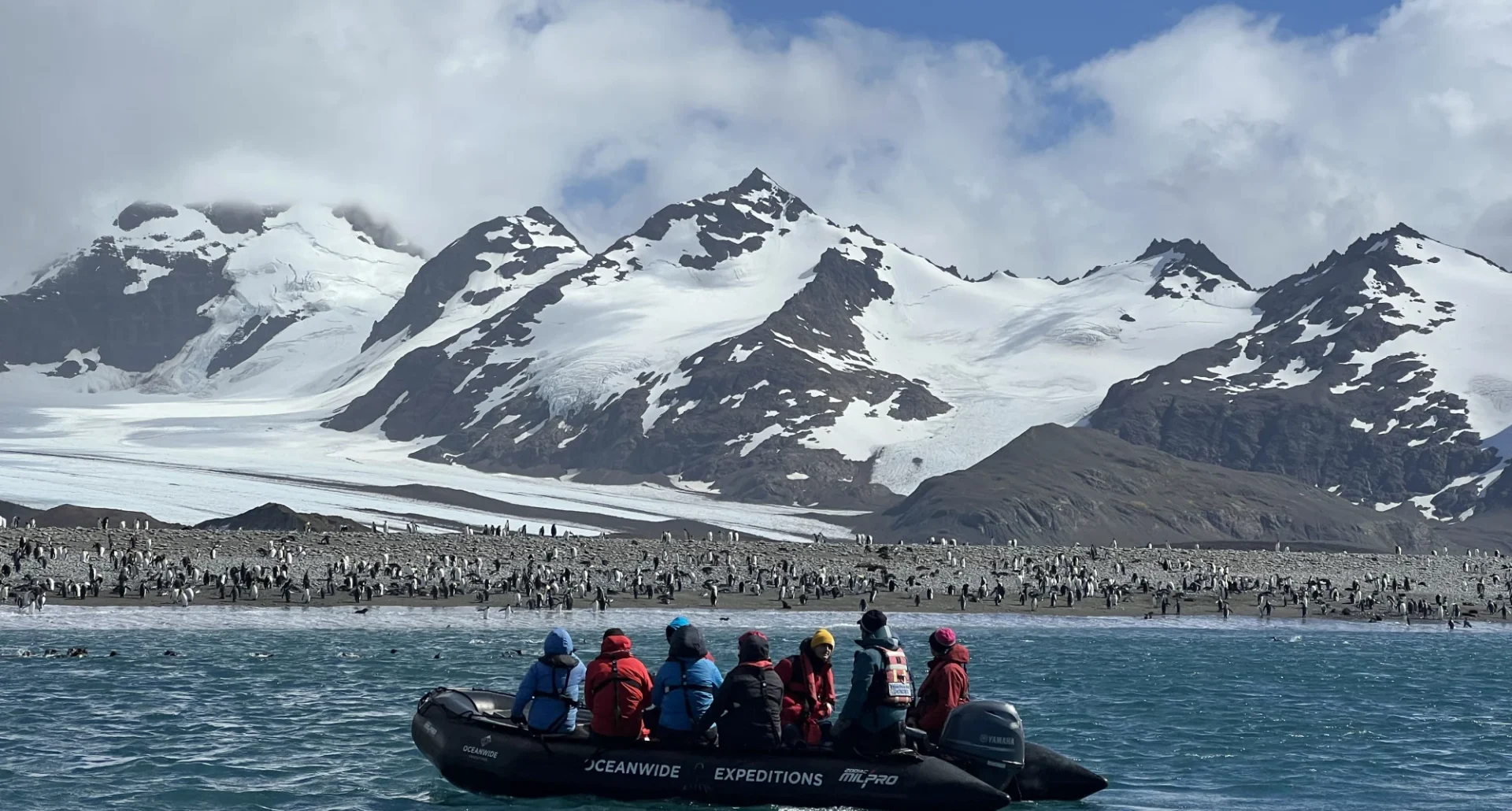 Explore South Gorgia