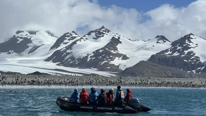 Explore South Gorgia