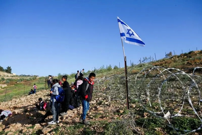 wmremove-transformed