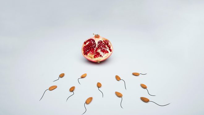 Sperm bedana