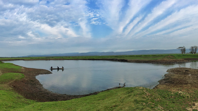 Wetland