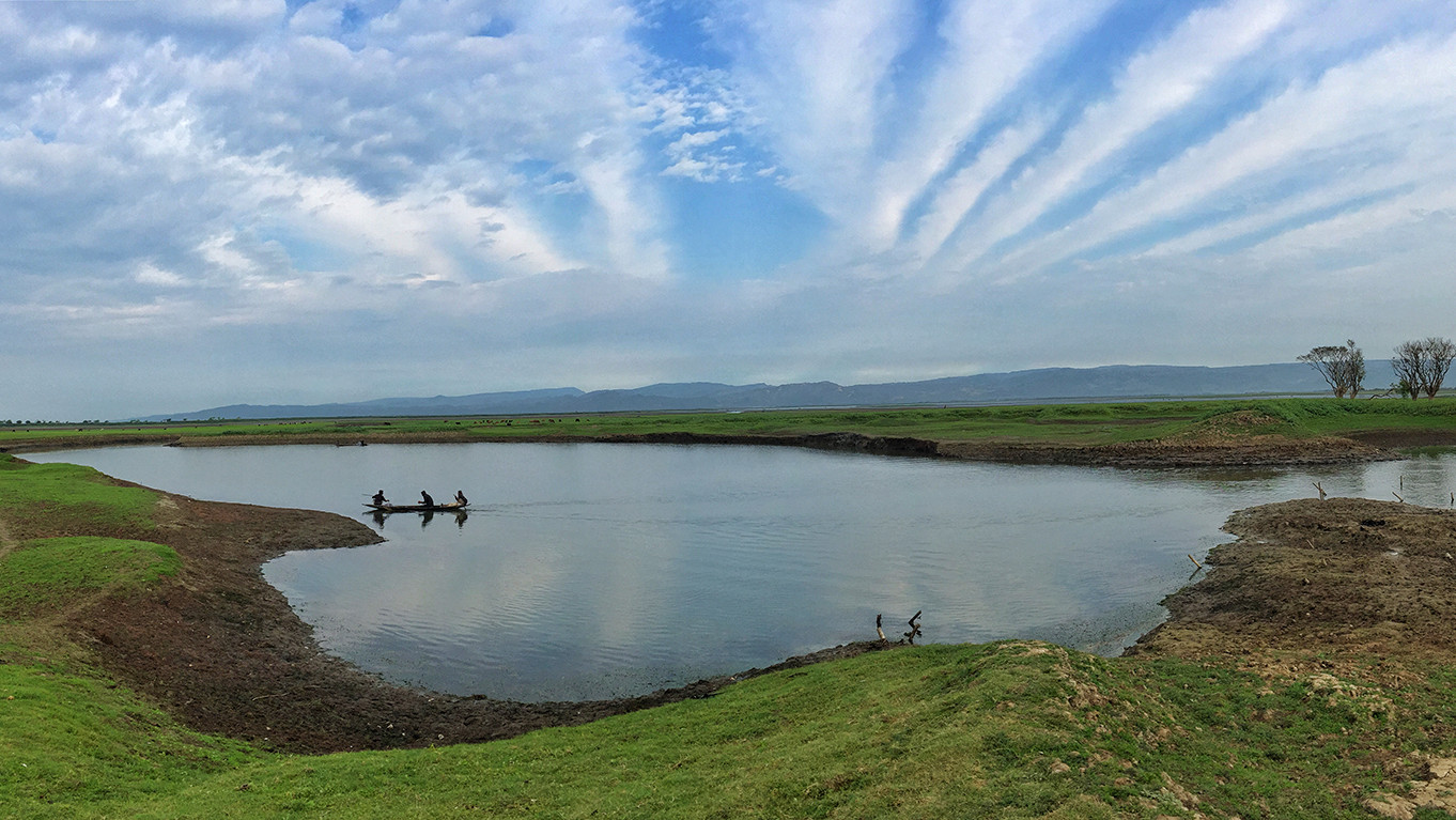 Wetland