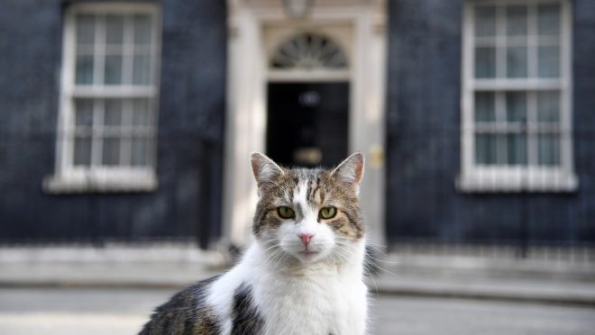 larry_the_cat1
