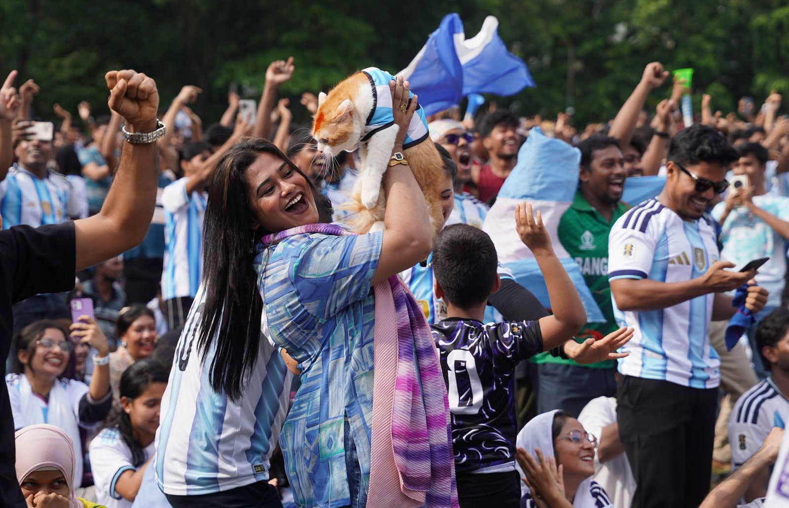 Messi Argentina Cat