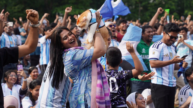 Messi Argentina Cat