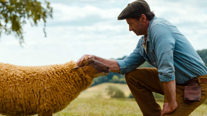 The Sheep Detective