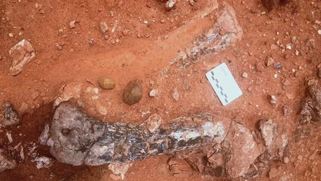 zimbabwe-sauropodomorph-3-two-column.jpg.thumb_.768.768
