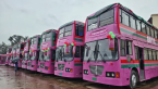 Pink Bus