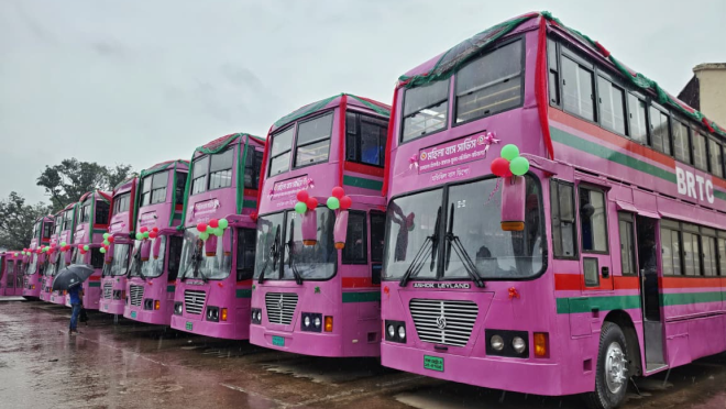 Pink Bus